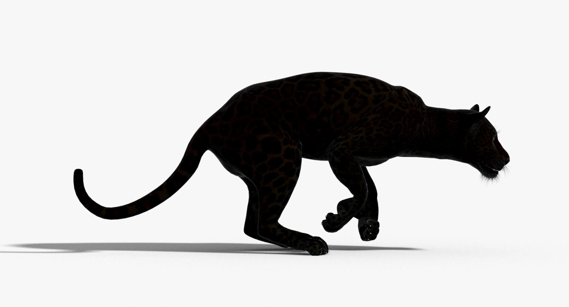 3d panther leopard cat animation https://p.turbosquid.com/ts-thumb/F8/g2a2Mj/vxQ1j5ta/panther_3d_model_run/jpg/1433086358/1920x1080/turn_fit_q99/f735e0020de6f973bc4aca2f75a5e78ae4c6904f/panther_3d_model_run-1.jpg