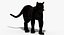 3d panther leopard cat animation