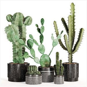 3D model Indoor Plant Set 02