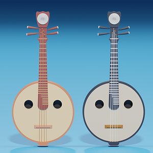 Chinese Instrument The Ruan model