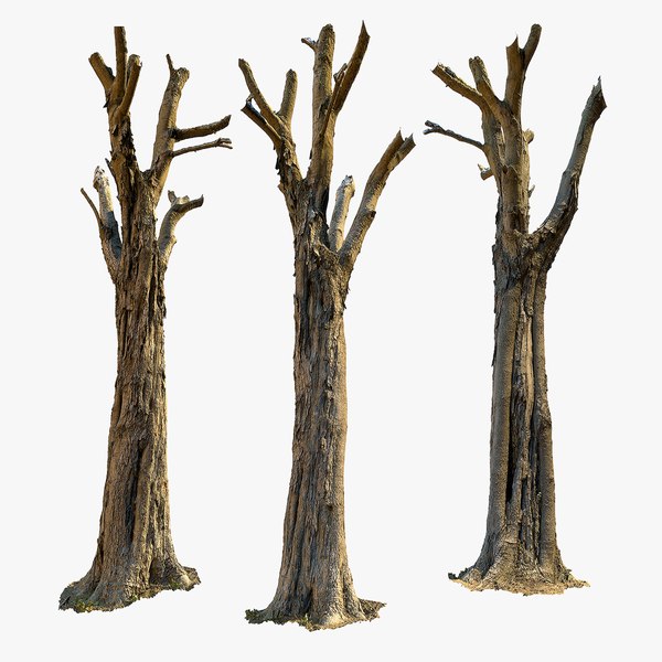 3D model Tree Scan Ultra HQ mesh 10x4k or 4x16k Textures