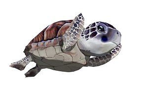 sea turtle
