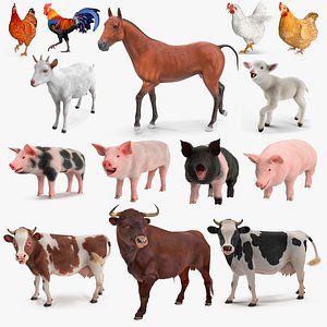 Rigged Farm Animals Big Collection 3 for Maya 3D