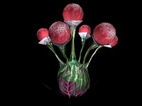 Bulb Plant