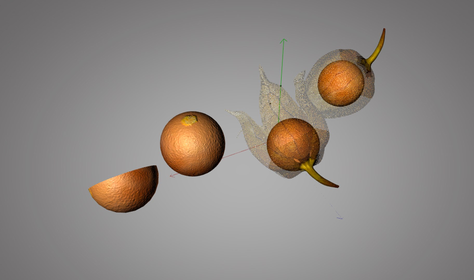 3D Fruits Model - TurboSquid 1541700