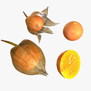 3D fruits model