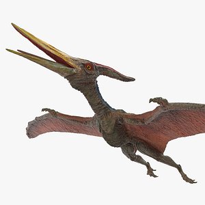 pteranodon pterosaur dinosaurs 3D model