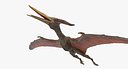 Pteranodon 3D Model