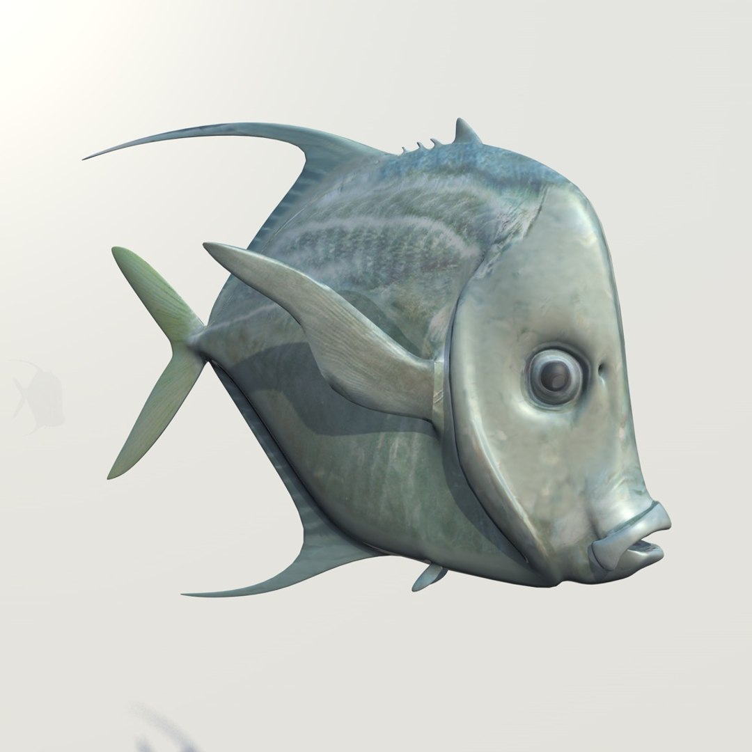 3d Lookdown Fish Model