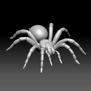 Tarantula model