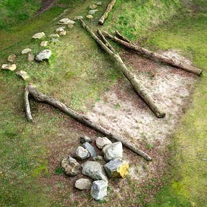 playfull trees 3d obj