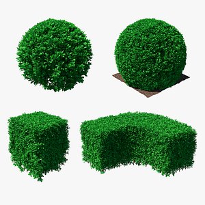 decorative shrubs 3D
