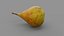 Pear 01 3D model