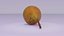 Pear 01 3D model