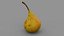 Pear 01 3D model