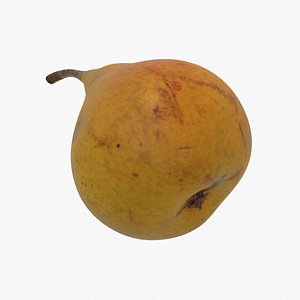 Pear 01 3D model 3D model