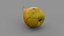 Pear 01 3D model