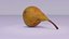 Pear 01 3D model