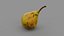 Pear 01 3D model