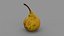 Pear 01 3D model
