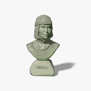 3D model TOMIRIS