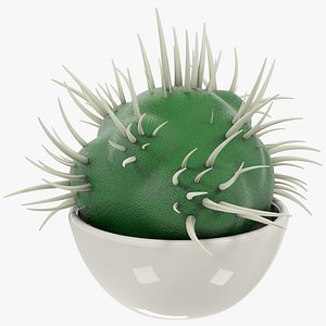 3D cactus pot