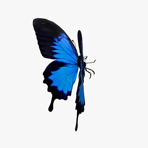 Butterfly blue model