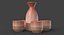 sake set 3D