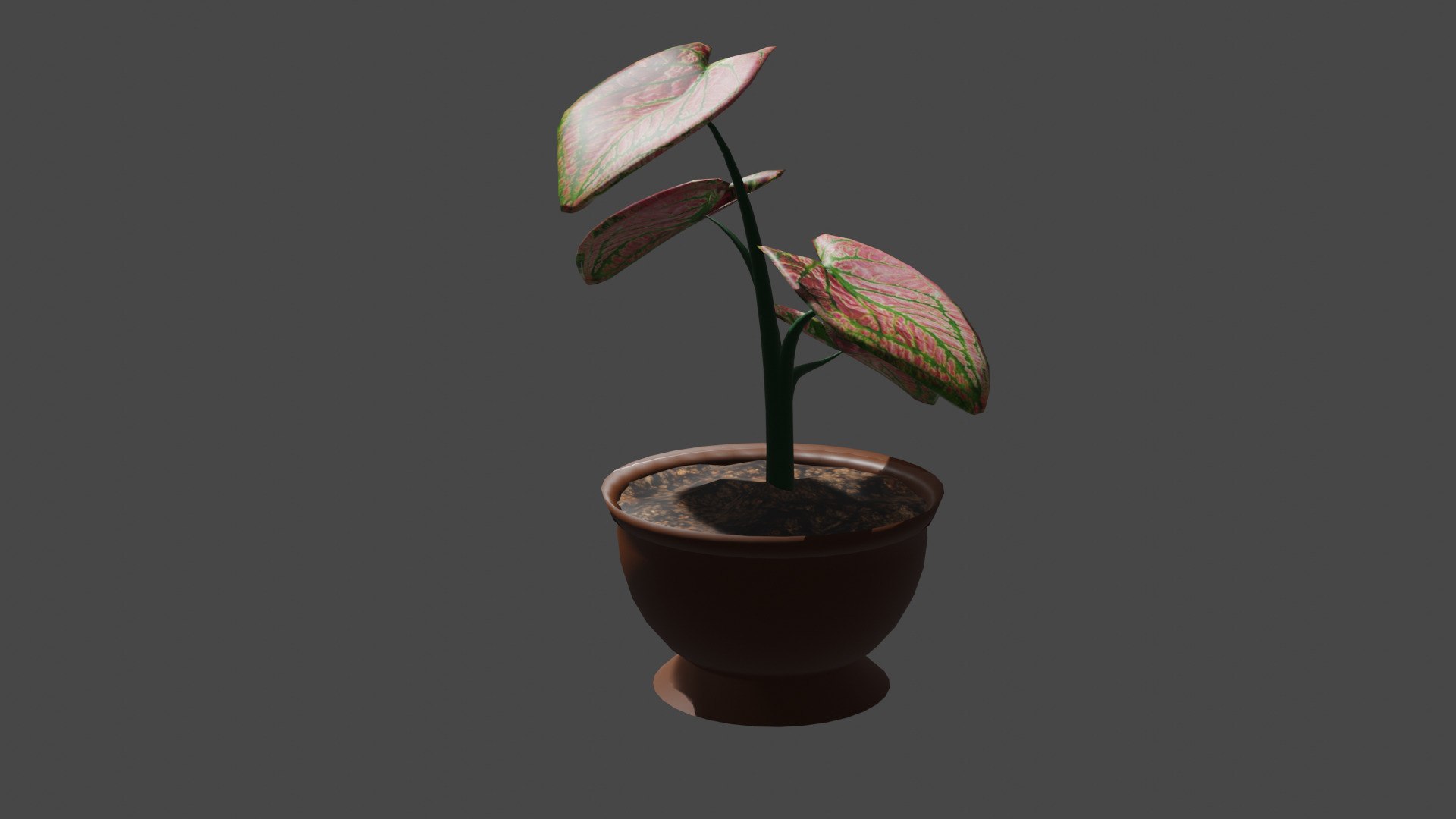plant in pot 3D https://p.turbosquid.com/ts-thumb/FA/7YUVsR/QY/2/jpg/1739029526/1920x1080/fit_q87/2346a41cf653b46ec415bb59d3dea5790e755116/2.jpg