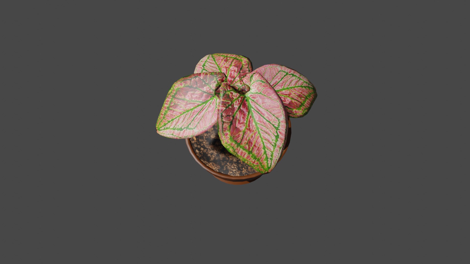 plant in pot 3D https://p.turbosquid.com/ts-thumb/FA/7YUVsR/uH/4/jpg/1739029528/1920x1080/fit_q87/9ca8812de2ad1700c8eae9872022531a92cb0148/4.jpg