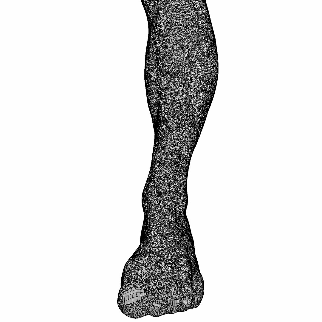 3D male leg https://p.turbosquid.com/ts-thumb/FA/8839YT/8Yk43IKT/9/jpg/1533475067/1920x1080/fit_q87/b10161fc1768ffcaf3d4d3aa702766e90baa0b5d/9.jpg