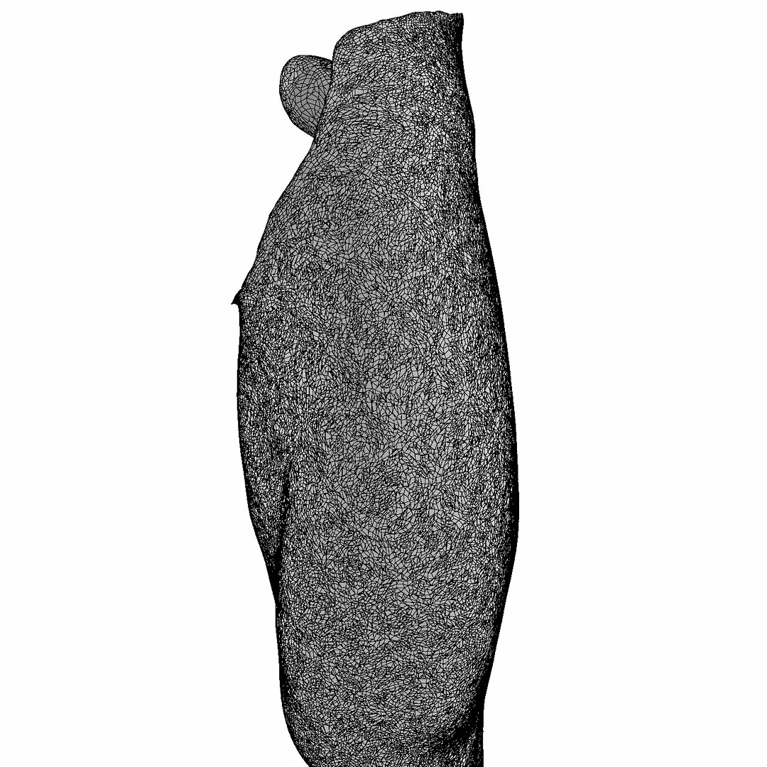 3D male leg https://p.turbosquid.com/ts-thumb/FA/8839YT/AMtSow6x/8/jpg/1533475067/1920x1080/fit_q87/fe9d213f50a779672001e9e5549e14426a2e5baf/8.jpg