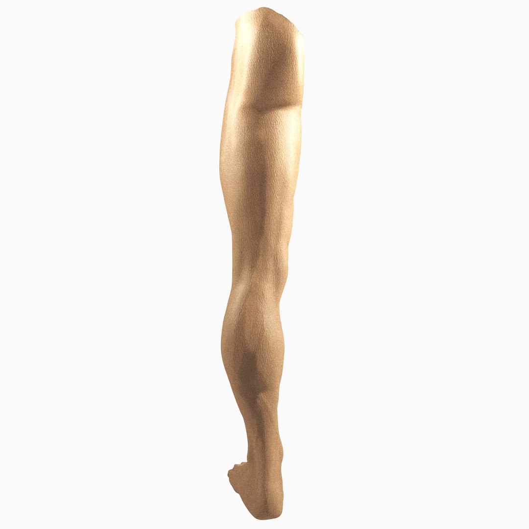 3D male leg https://p.turbosquid.com/ts-thumb/FA/8839YT/b4LoANlQ/4/jpg/1533475067/1920x1080/fit_q87/03126103a4bd87c930455e52732eeb25e58a707e/4.jpg