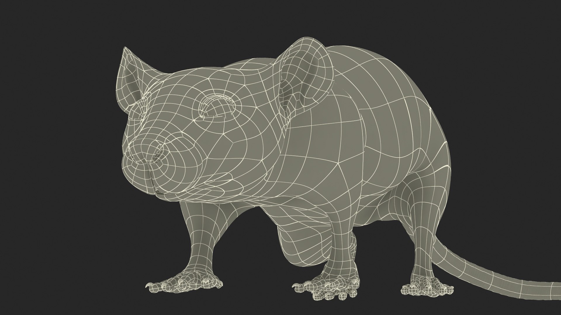 3D Realistic White Rat With Fur - TurboSquid 2302339