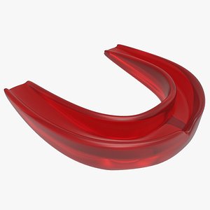 fbx mouthguard guard