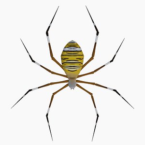 ANIMATED TIGER SPIDERBEE
