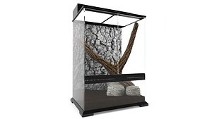 Terrarium With A Snake