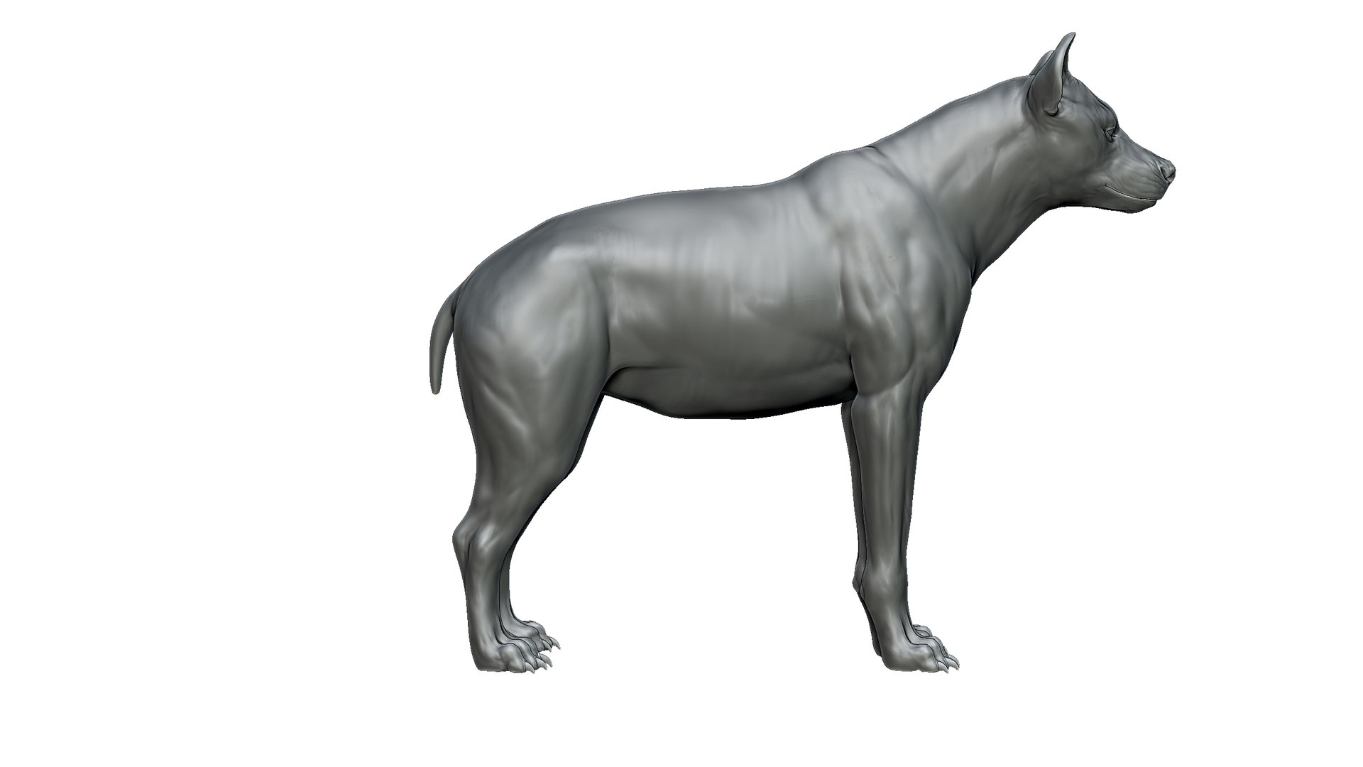Hyena 3D Model - TurboSquid 2278598