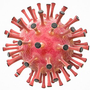 modeled coronavirus covid 19 3D model