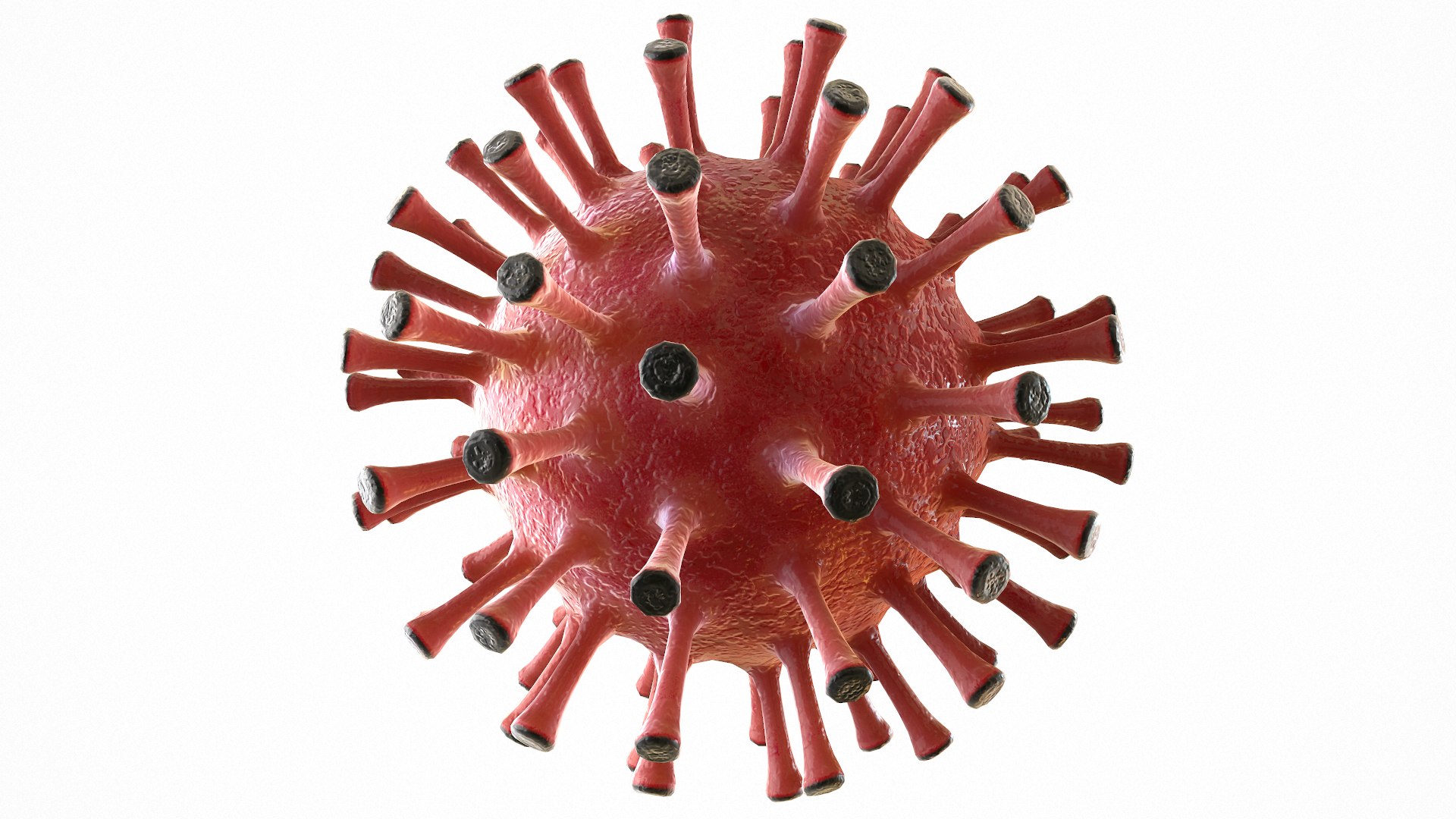 Modeled Coronavirus Covid 19 3D Model - TurboSquid 1533206