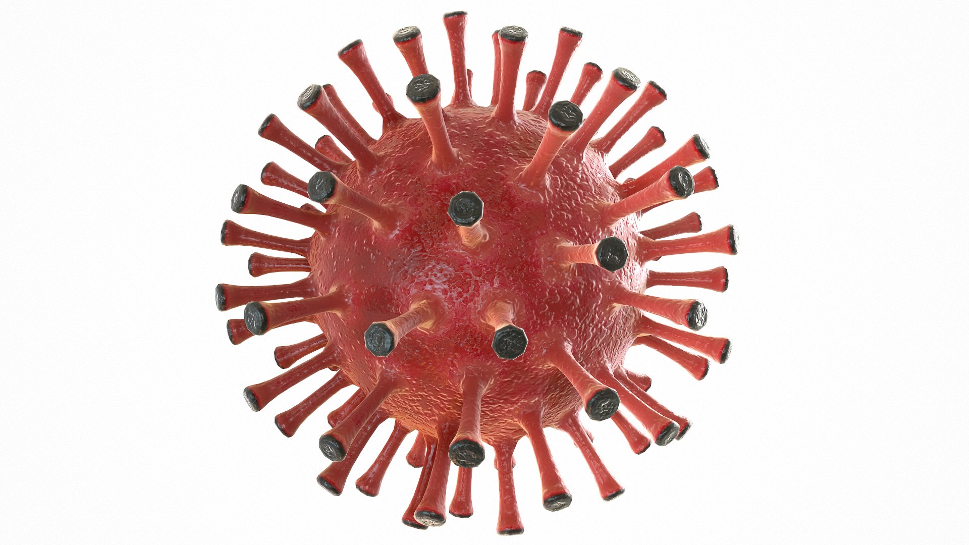 Modeled Coronavirus Covid 19 3D Model - TurboSquid 1533206