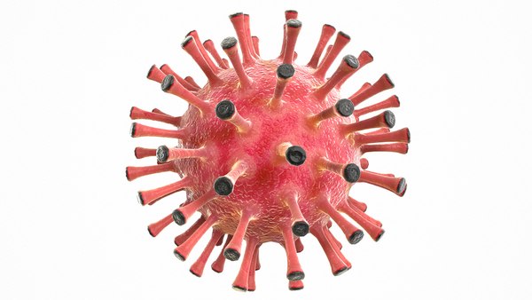 Modeled coronavirus covid 19 3D model - TurboSquid 1533206