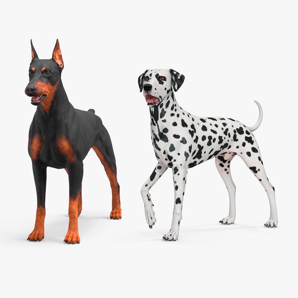 dogscollection3dsmodel000