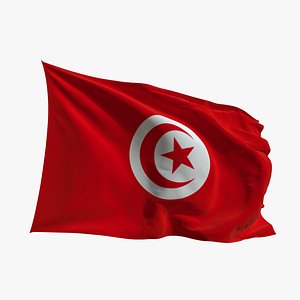 3D Realistic Animated Flag - Microtexture Rigged - Put your own texture - Def  Tunisia