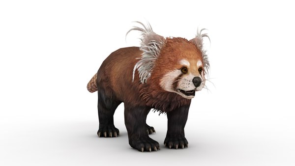 modelo 3d Panda rojo - TurboSquid 1932190