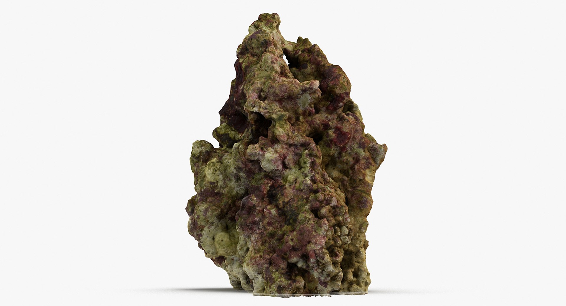 Max Reef Rock