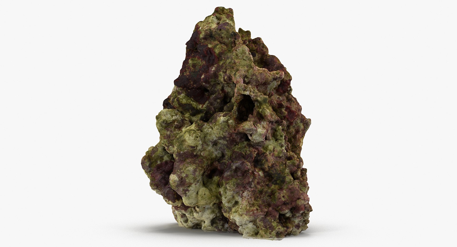 Max Reef Rock
