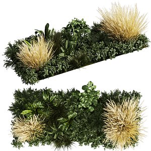 plant vol 985 - garden - pampas - banana - bush 3D model