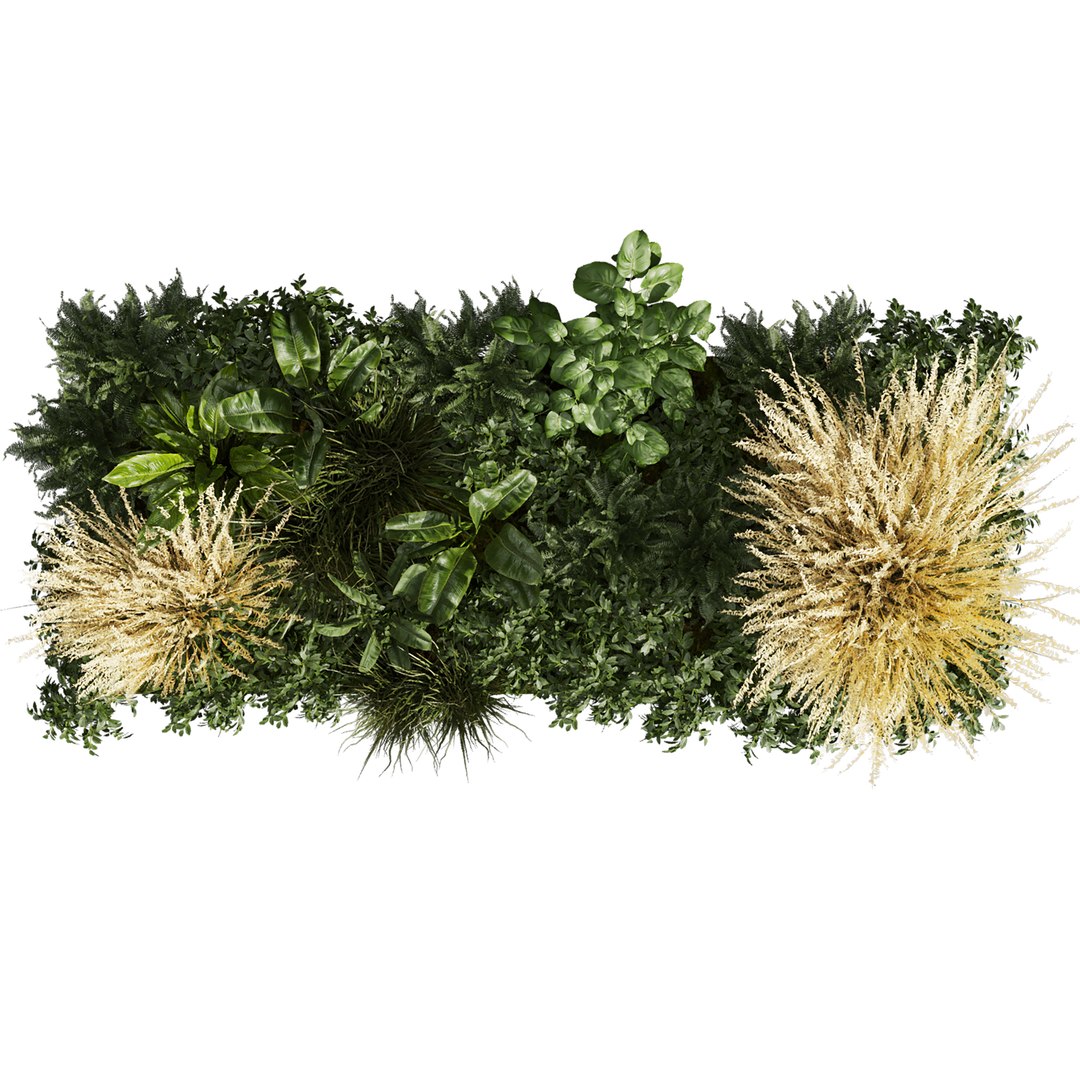 plant vol 985 - garden - pampas - banana - bush 3D model https://p.turbosquid.com/ts-thumb/FB/3OeGD4/hX/4/jpg/1786991200/1920x1080/fit_q87/878da0462c87811d956fdadc938ae9e7adff039c/4.jpg