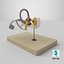 Inner Ear Bony Labyrinth Model Human Anatomy